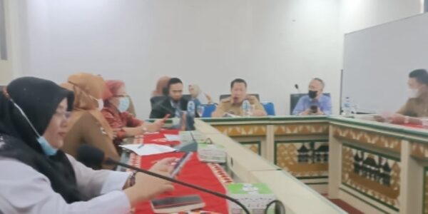 Satgas Stunting Provinsi Lampung  Sosialisasi Tentang Tugas dan Fungsi Tim Percepatan Penurunan Stunting