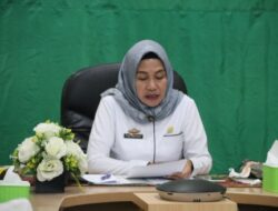 Pemprov Lampung Bangun Jalur Sutet 275kV Gumawang-Lampung Satu