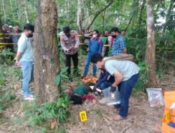 Sosok Mayat Perempuan Ditemukan di Kebun Karet