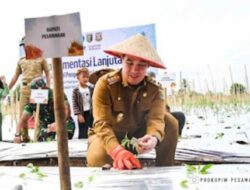 Dendi Ramadhona Dampingi Gubernur Lampung Sambut TPID Komoditi Cabai