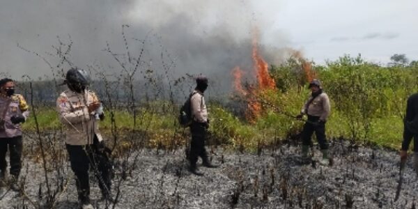 Personil Polres Lampung Timur Bantu Petugas TNWK Padamkan Kebakaran Hutan