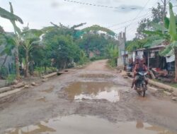 Ruas Jalan Kabupaten Pringsewu Rusak Parah