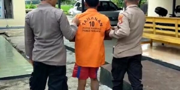 Belum Sempat Menikmati Hasilnya,  Pencuri Sapi di Amankan Polisi