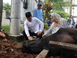 Hari Raya Idul Adha 1444 H, Kapolresta Bandar Lampung Pimpin Pemotongan Hewan Qurban