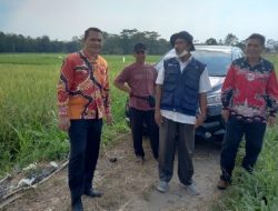 119 Hektar Sawah di Lampung Utara Mengalami Kekeringan