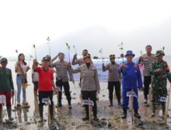 Jelang Hari Humas Polri Ke-72, Bidhumas Polda Lampung Tanam Mangrove Jaga Kelestarian