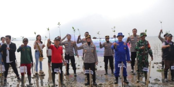 Jelang Hari Humas Polri Ke-72, Bidhumas Polda Lampung Tanam Mangrove Jaga Kelestarian