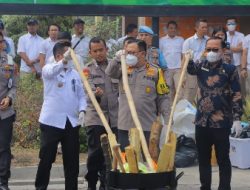 Polda Lampung Musnahkan Ratusan kilo Narkotika dan Obat Terlarang