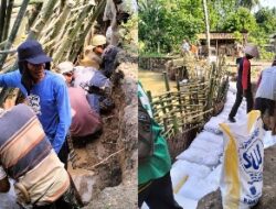 Kesal Tunggu Perhatian Pemkab, Warga Sinar Bangun  Gotong Royong Bangun Tanggul Darurat Hadapi Ancaman Banjir