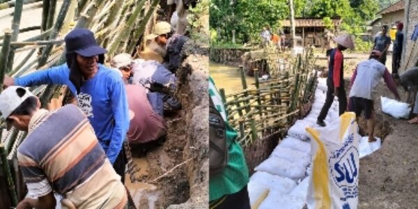 Kesal Tunggu Perhatian Pemkab, Warga Sinar Bangun  Gotong Royong Bangun Tanggul Darurat Hadapi Ancaman Banjir