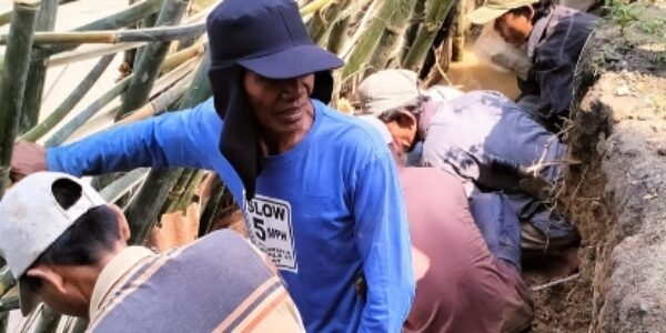 Kerusakan Tanggul di Sinar Bangun BNS Diajukan ke Provinsi, Ini Penjelasan BPBD Tanggamus