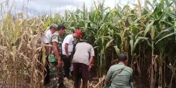 KPH Kota Agung Utara Cek Lokasi Pengakuan Warga Bertemu Harimau di Gunung Doh Tanggamus, Ini Hasilnya?