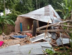 Korban Pohon Ambruk di Kota Agung Tanggamus Butuh Perhatian