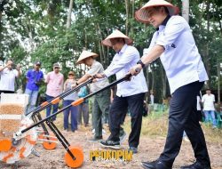 Potensial Pengembangan Holtikultura, Bupati Pesawaran Dan Kementan RI Tanam Kedelai Perdana