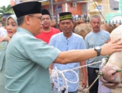 Idul Adha 1445H/2024M, Polda Lampung Kurban 44 Sapi dan Kambing