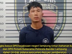 Polda Lampung Tangkap Tahanan Kabur DPO Kejari Lampung Timur