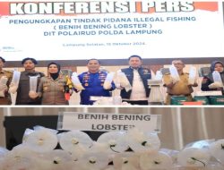 Ungkap 149.400 Ekor BBL, Polda Lampung Selamatkan Kerugian Negara Rp37,3 M