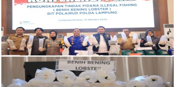 Ungkap 149.400 Ekor BBL, Polda Lampung Selamatkan Kerugian Negara Rp37,3 M