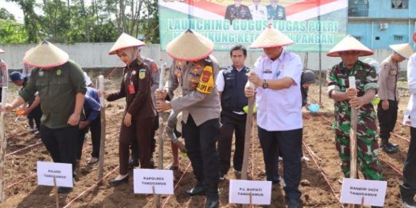 Dukung Ketahanan Pangan, Polres Tanggamus Tanam Jagung Unggul di Areal Satpas SIM