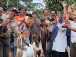 Yusnadi Anggota DPRD Lampung Berikan Bantuan Babon Kambing di Sekampung Udik
