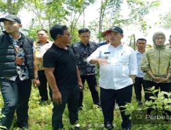 Bupati Lahat Bursah Zarnubi Akan Bangun Sekolah Rakyat