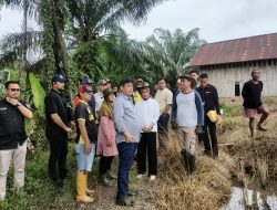 Bupati Bursah Zarnubi Tinjau Irigasi Di Desa Sungai Laru Kecamatan Kikim Tengah