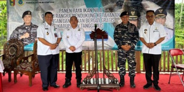Persiapan Panen Raya Ikan Nila Binaan TNI AL dan Dinas Perikanan Tanggamus