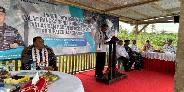 Panen Raya Ikan Nila Binaan TNI AL dan Dinas Perikanan Tanggamus