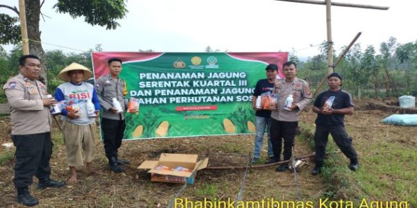 Polsek Kota Agung Laksanakan Penanaman Jagung Serentak Kuartal III di Desa Pagaruyung