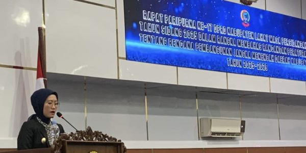 Paripurna RPJMD 2025-2029, Wabup Lahat Soroti 2 Hal Ini Untuk Tingkatkan PAD