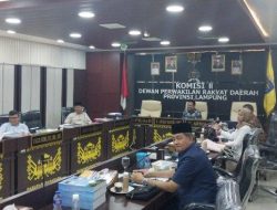Lampung Surplus Telur, Komisi II DPRD  Lampung Usul Jadi Konsumsi Wajib di Kantor Pemerintah