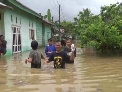 Puluhan Rumah di Wonosobo Tanggamus Terendam Banjir, Dua Pekon Terdampak Paling Parah