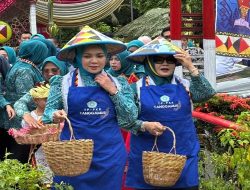 Ketua TP PKK Provinsi Lampung Kunjungi Pekon Kacapura, Serahkan Bantuan untuk Warga