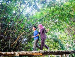 Bupati Tinjau Jembatan Gantung di Desa Sukaraja, Prioritaskan Perbaikan 2026 untuk Bantu Akses Warga