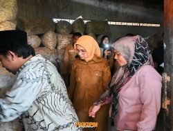 Dukung Pelaku Usaha Lokal, Bupati Nanda Kunjungi Sejumlah Sentra UMKM di Kecamatan Way Lima