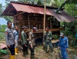 Paska Dua Kambing Diserang Beruang, Polsek Pematang Sawa dan Polhut Beri Imbauan Warga