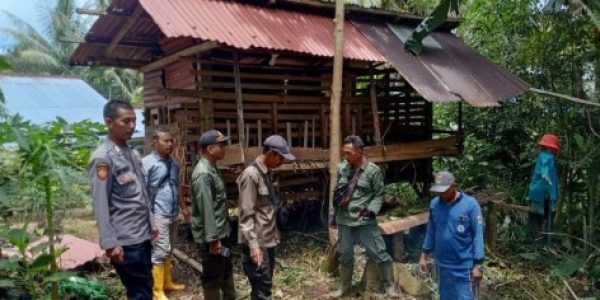 Paska Dua Kambing Diserang Beruang, Polsek Pematang Sawa dan Polhut Beri Imbauan Warga