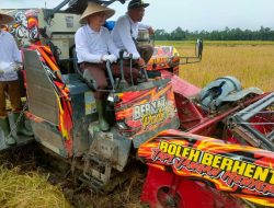 Pemkab Tanggamus bersama Kejaksaan Negeri Melaksanakan Panen Raya Padi