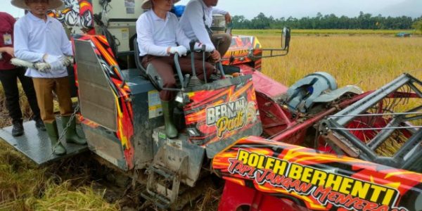 Pemkab Tanggamus bersama Kejaksaan Negeri Melaksanakan Panen Raya Padi