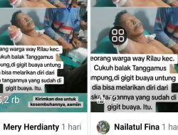 Hoaks!!!, Postingan Akun Facebook Amara, Mery Herdianty, Nailatul Fina, Indah Lia dan Seputar Pringsewu soal Serangan Buaya di Way Rilau Tanggamus