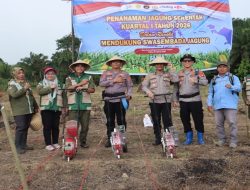 Penanaman Jagung Serentak Pada Kuartal Pertama Tahun 2026 Polres Lahat