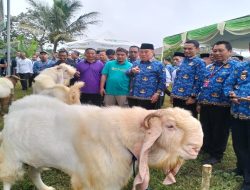 Polsek Pulau Panggung Amankan Pelaku Pencurian Drum Penyaring Sampah di Bendungan Batu Tegi