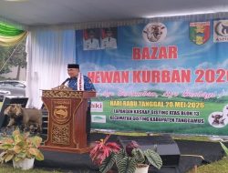 Bazar Hewan Qurban Tanggamus 2026 Dibuka, Bupati Borong 10 Kambing dari Peternak Lokal