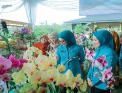 Ketua TP PKK Provinsi Lampung Purnama Wulan Sari Mirza Perkenalkan PKK Agro Park kepada Jajaran TP PKK Pusat