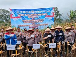 Polres Tanggamus Gelar Panen Raya Jagung Kuartal II 2026 Serentak di Ulu Belu