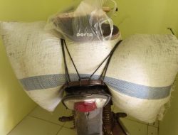 Patroli Malam, Anggota Polsubsektor Ulu Belu Amankan Motor dan Dua Karung Kopi Diduga Hasil Curian, Pelaku Kabur