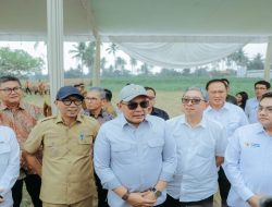 Gubernur Dampingi Wamen Investasi dan Hilirisasi Tinjau Calon Lokasi Pabrik Bioetanol
