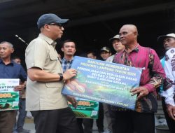 Pemprov Lampung Perkuat Fondasi Ekonomi Desa Lewat Inovasi Pertanian dan Pemberdayaan Petani