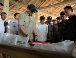 Gubernur Mirza Tinjau Pasar Murah di Bandar Negeri Suoh, Warga Antusias Berburu Bahan Pokok
