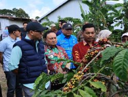 PHC Ubah Wajah Perkebunan Kopi Lampung, Gubernur Mirza Dorong Produktivitas Kopi Meningkat
